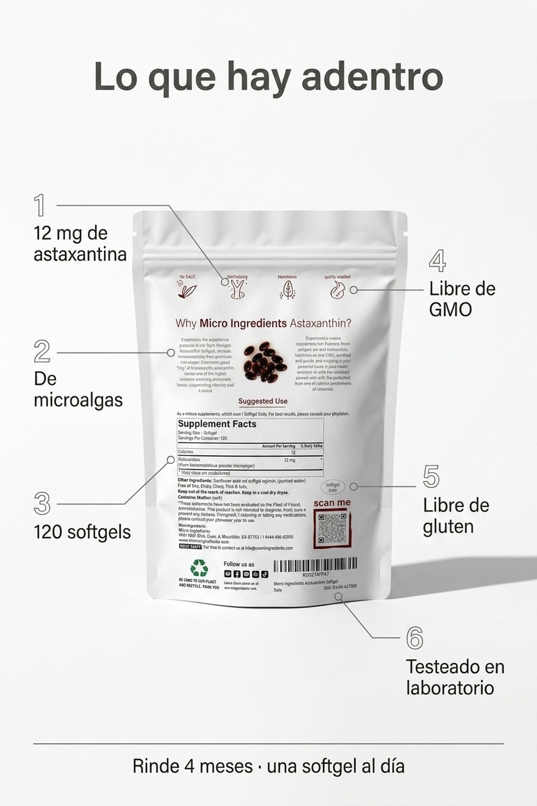 Ficha: 12 mg, de microalgas, 120 softgels, libre de GMO y gluten