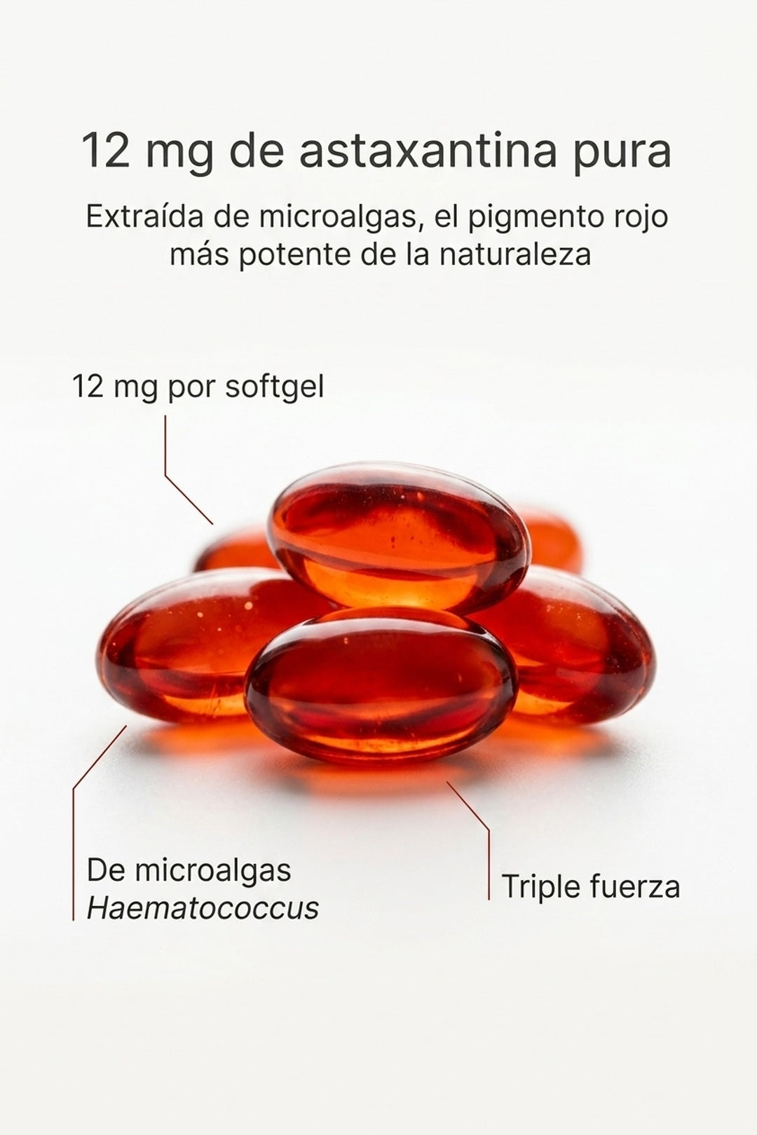 12 mg de astaxantina pura extraída de microalgas