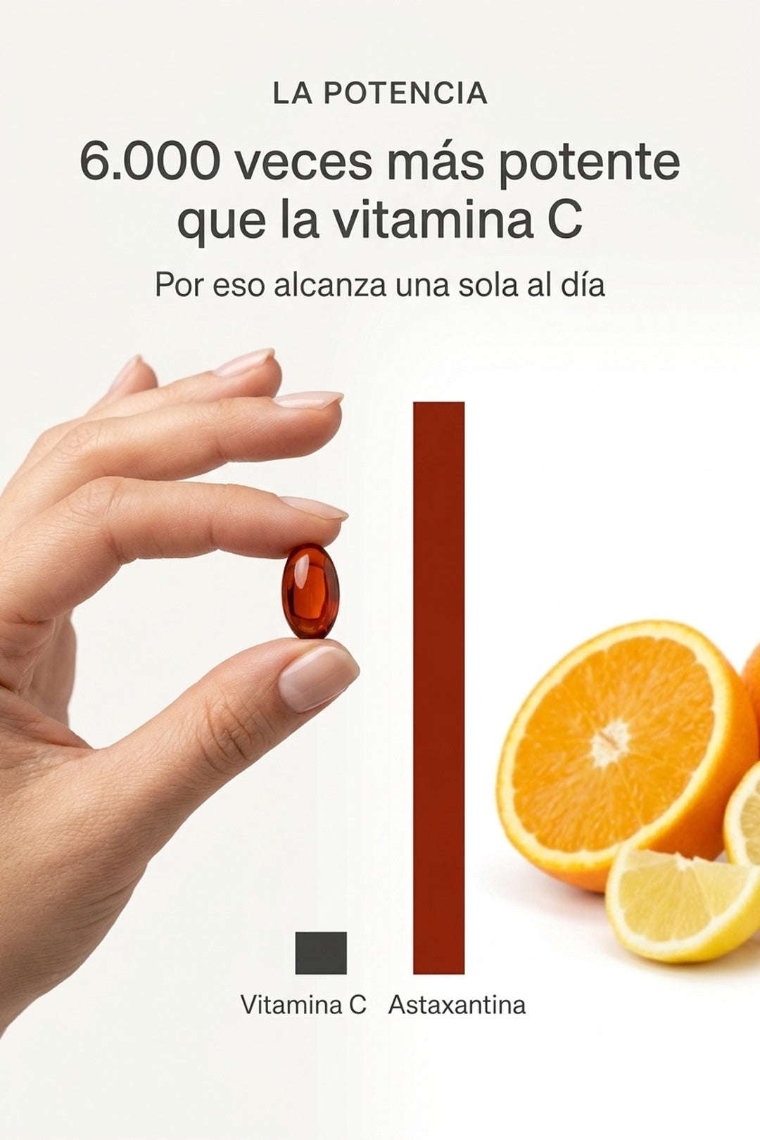 6.000 veces más potente que la vitamina C