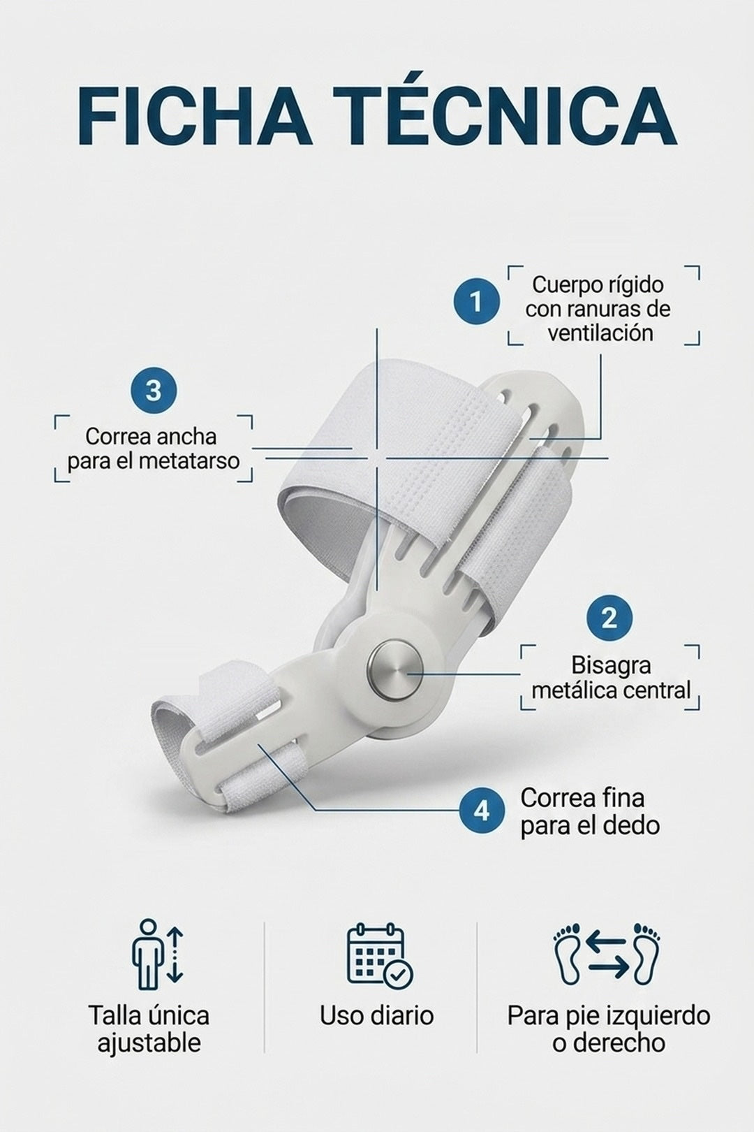 Ficha técnica: cuerpo con ranuras, bisagra metálica y correas para metatarso y dedo