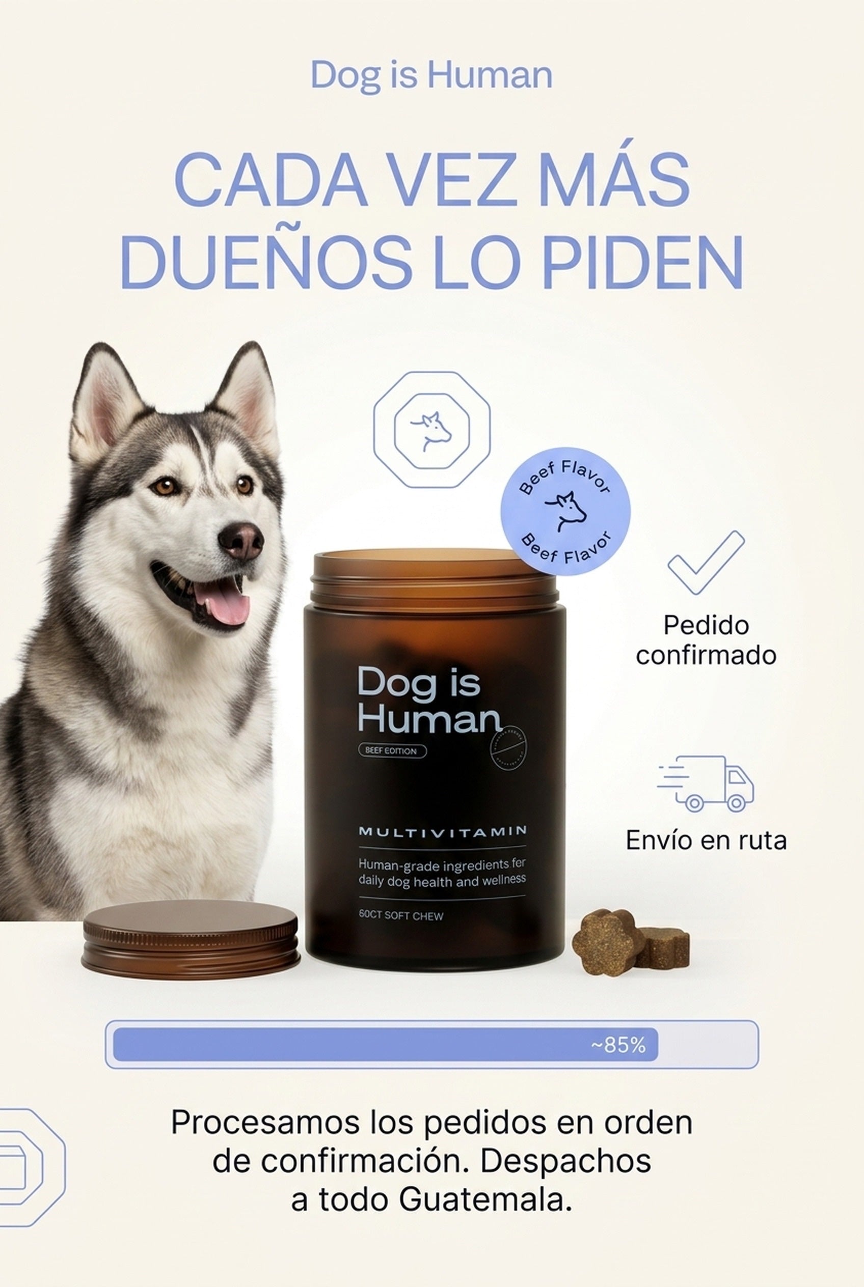 Dog is Human · cada vez más dueños lo piden