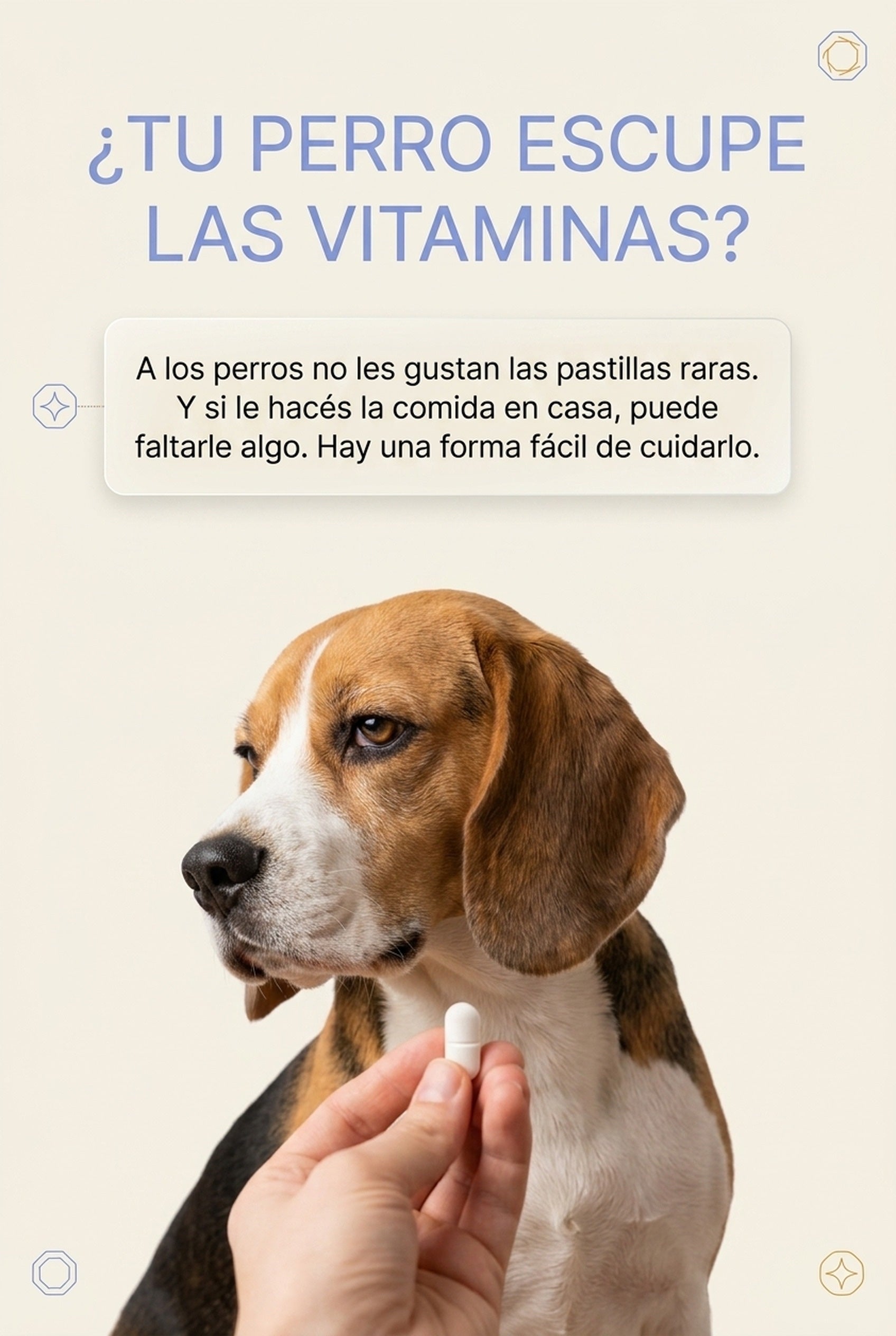¿Tu perro escupe las vitaminas?