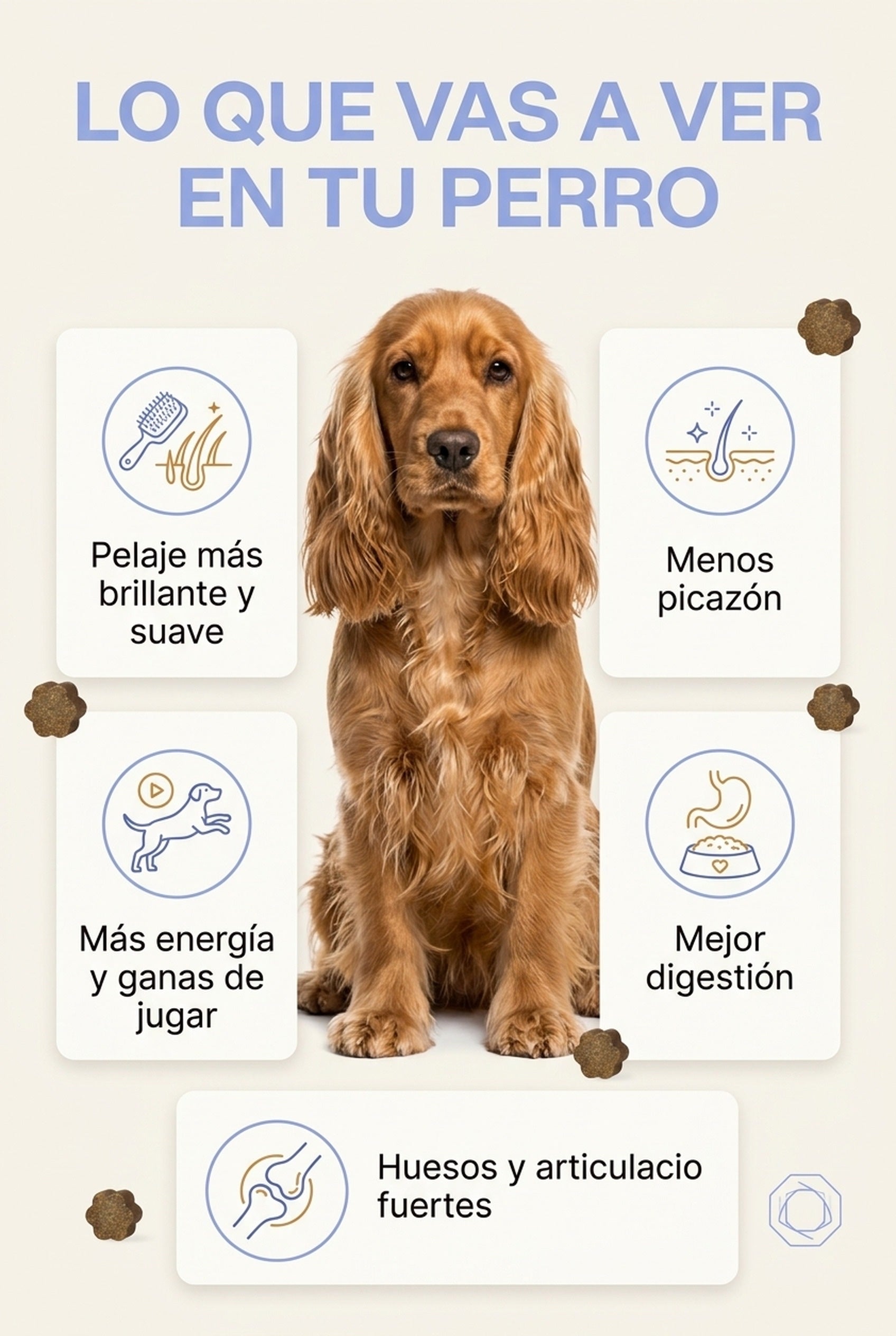 Lo que vas a ver en tu perro: pelaje y energía