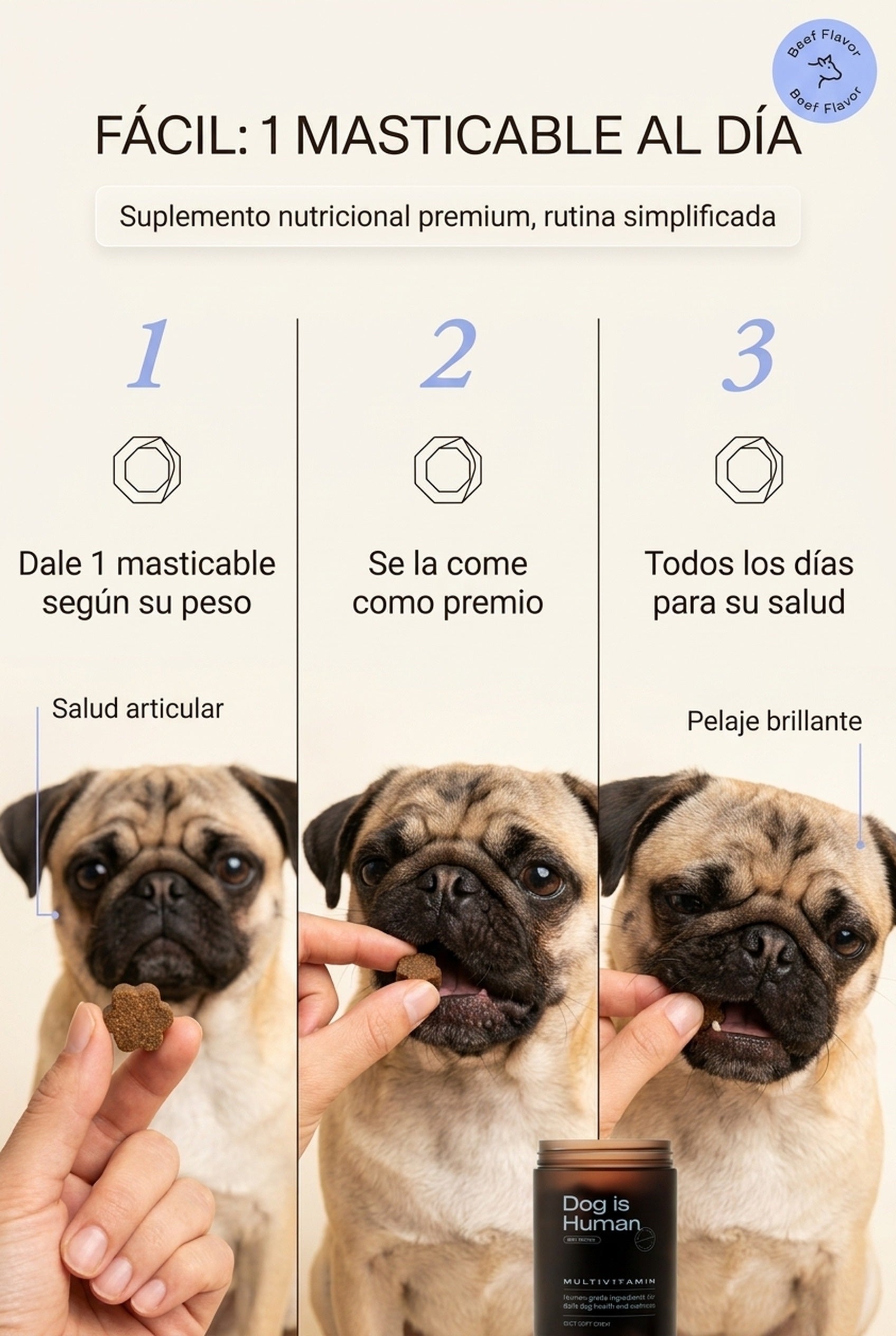 Modo de uso: 1 masticable al día