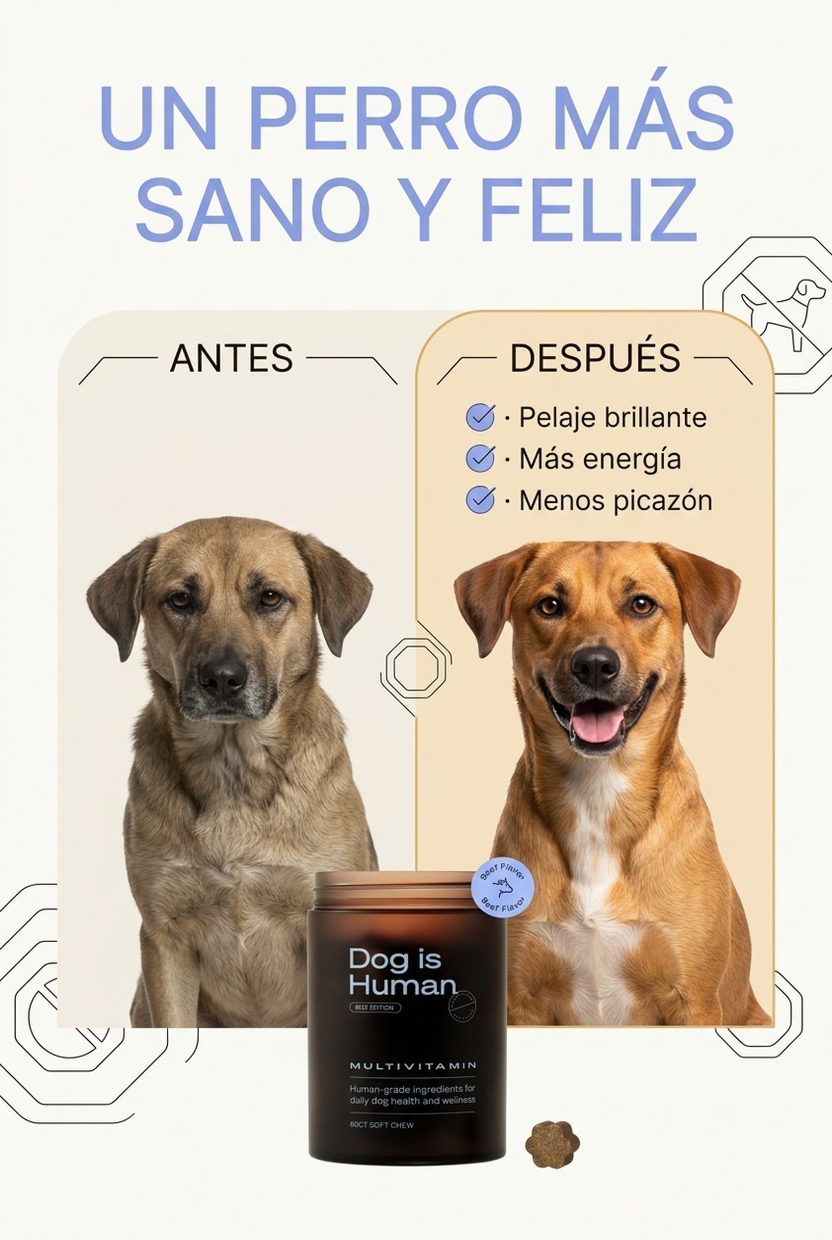 Antes y después: un perro más sano y feliz