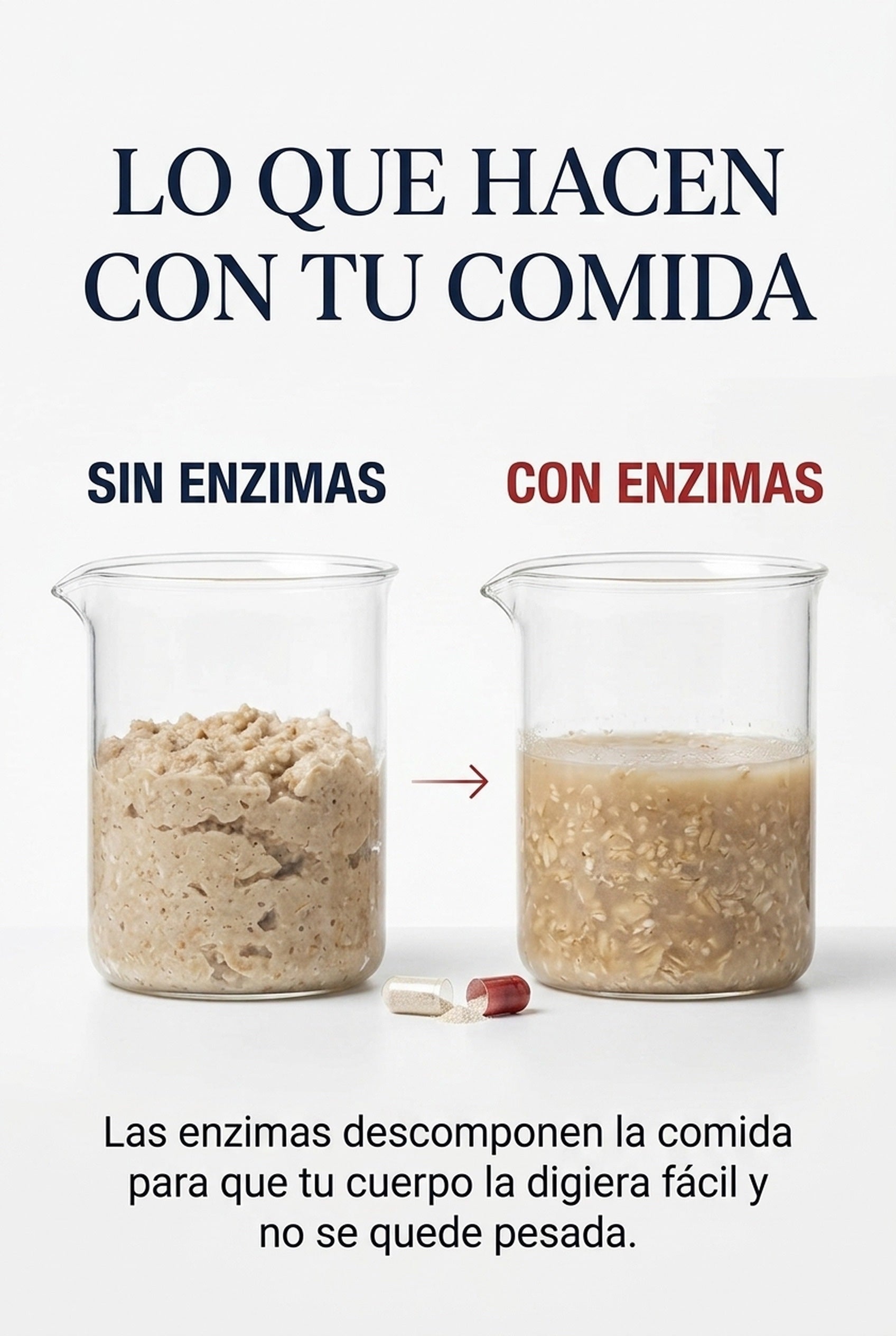 La prueba: las enzimas descomponen la comida