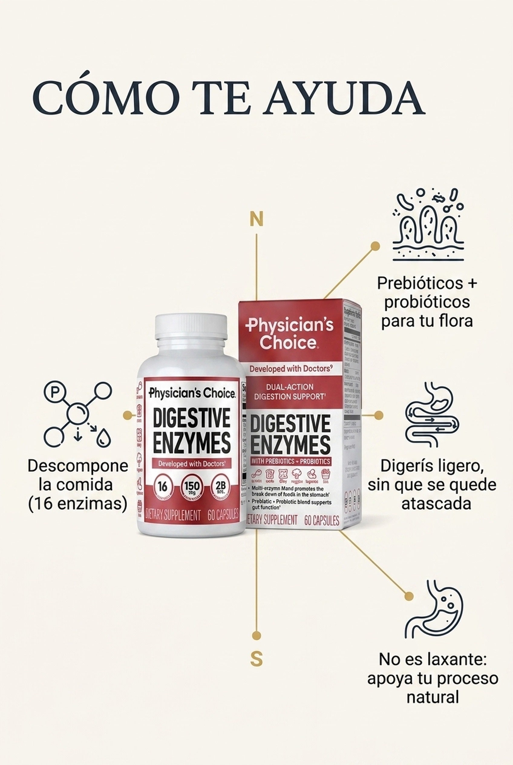 Cómo funciona: 16 enzimas + prebióticos y probióticos