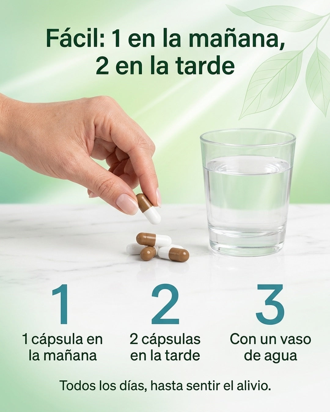 Modo de uso: 1 cápsula en la mañana y 2 en la tarde con un vaso de agua
