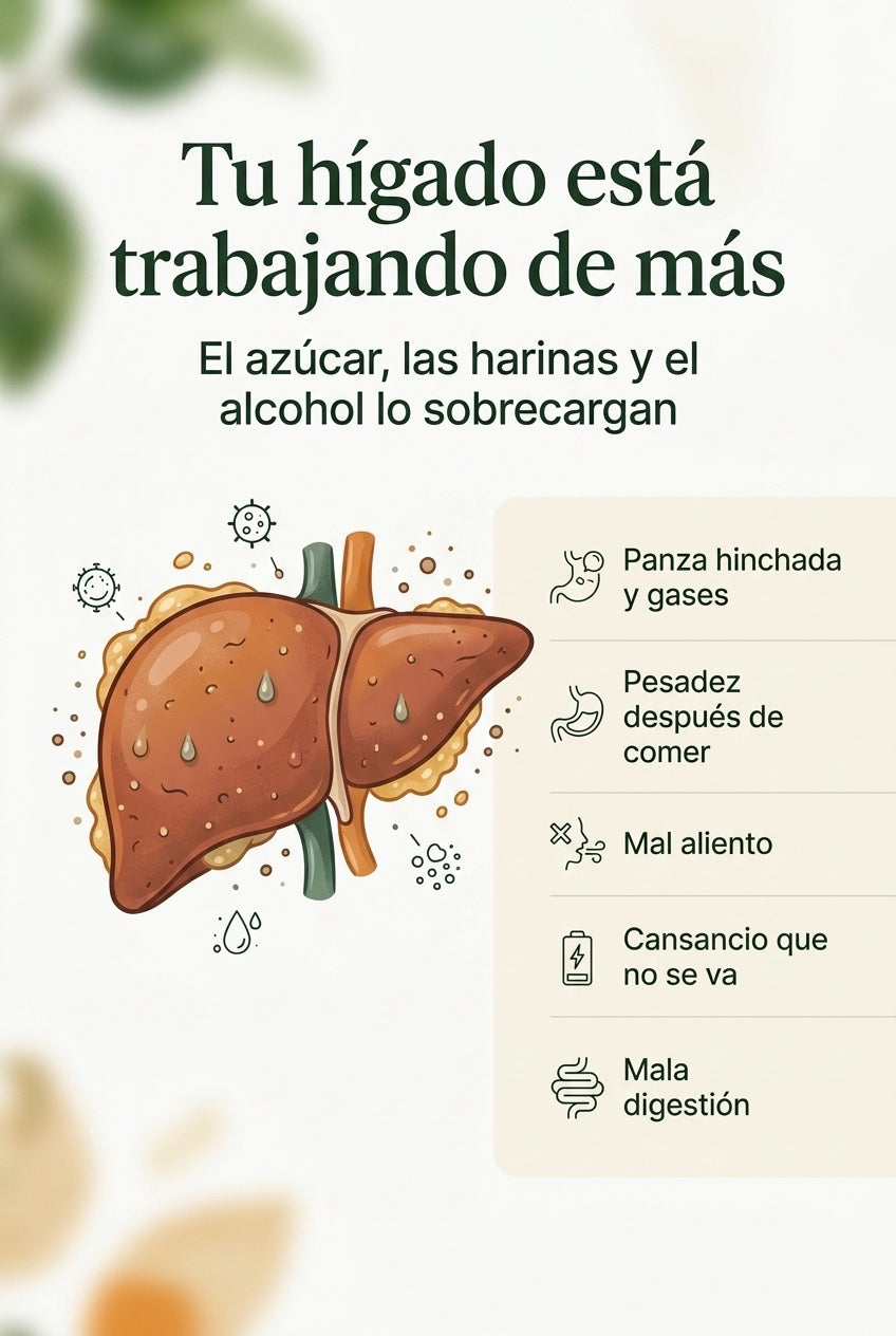 Síntomas de un hígado sobrecargado