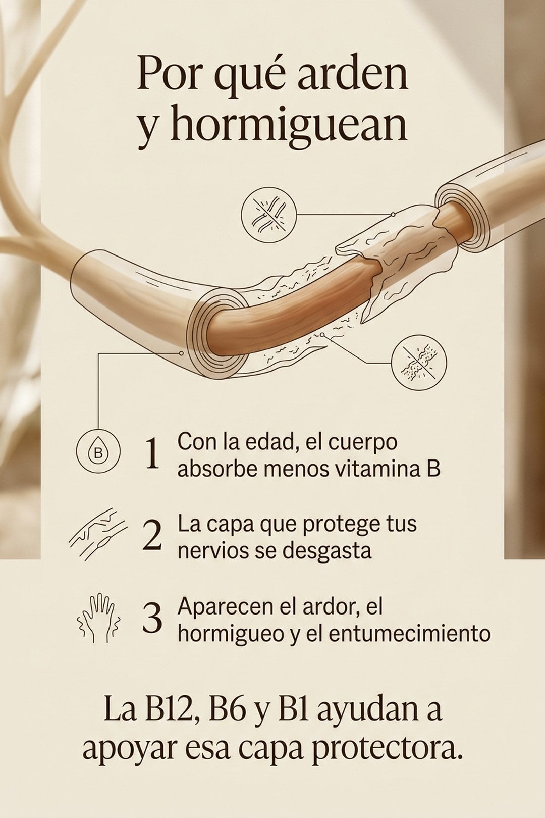 Por qué arden y hormiguean: la capa de mielina que protege los nervios