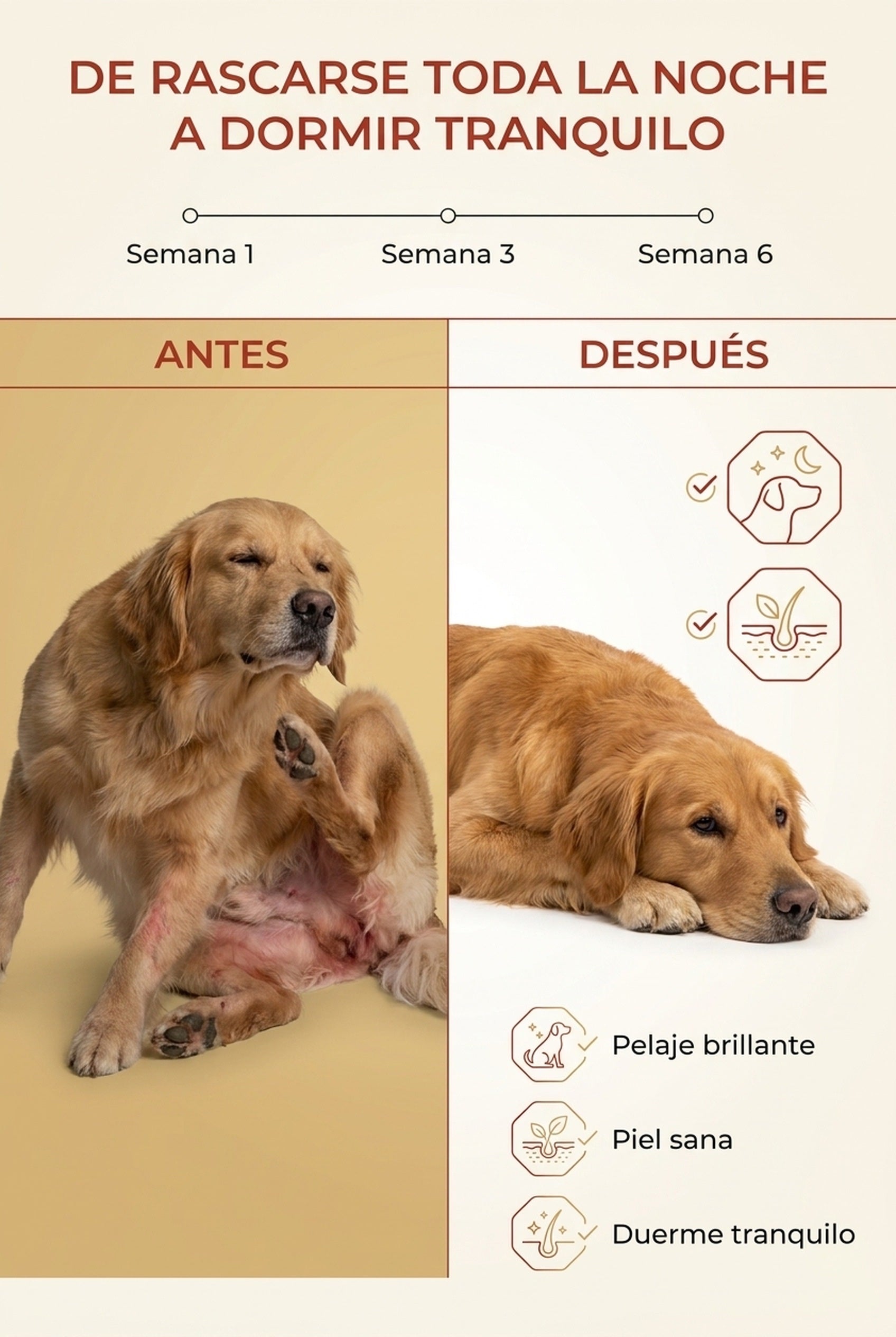 Antes y después: de rascarse toda la noche a dormir tranquilo