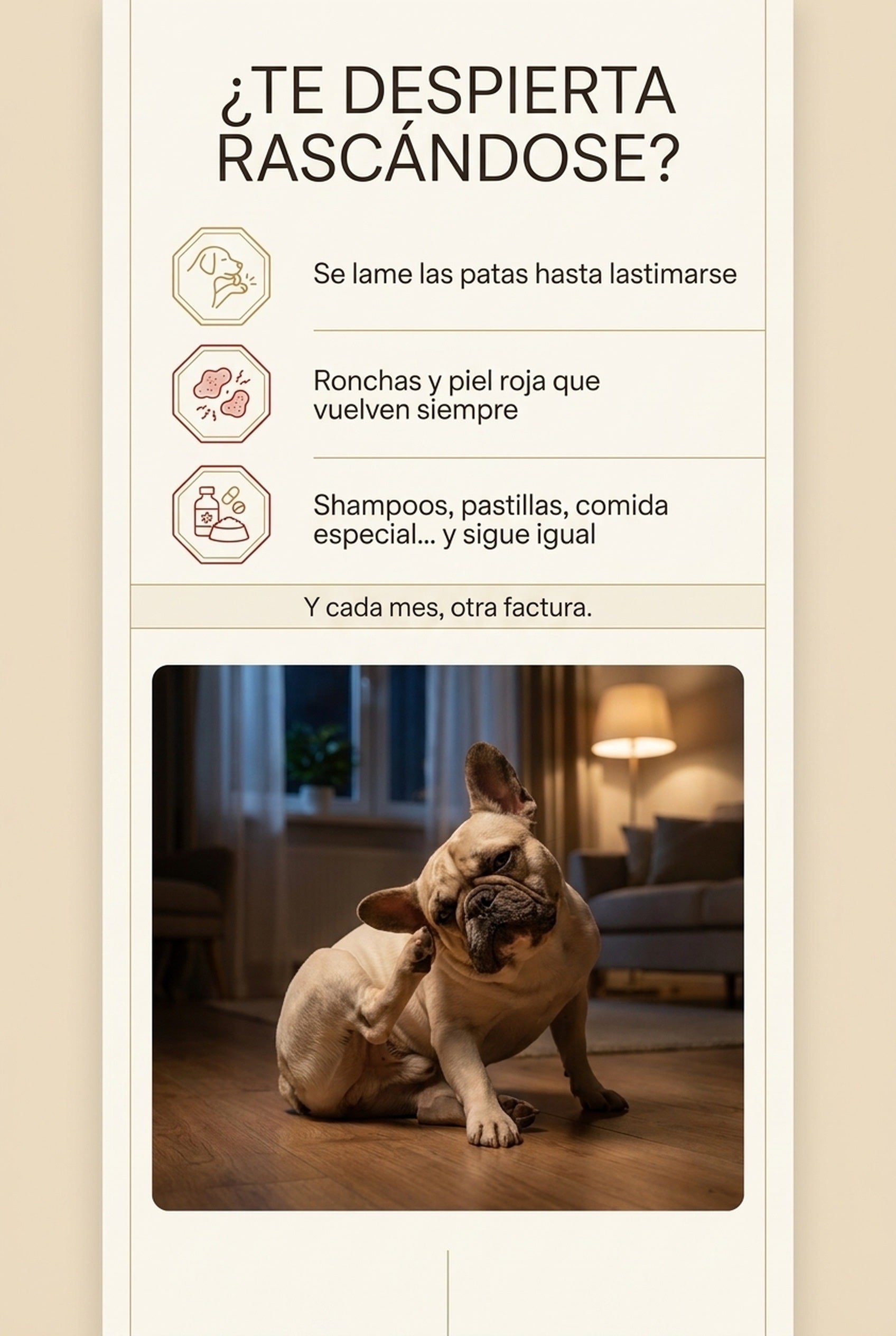 ¿Te despierta rascándose? Se lame las patas, ronchas que vuelven siempre