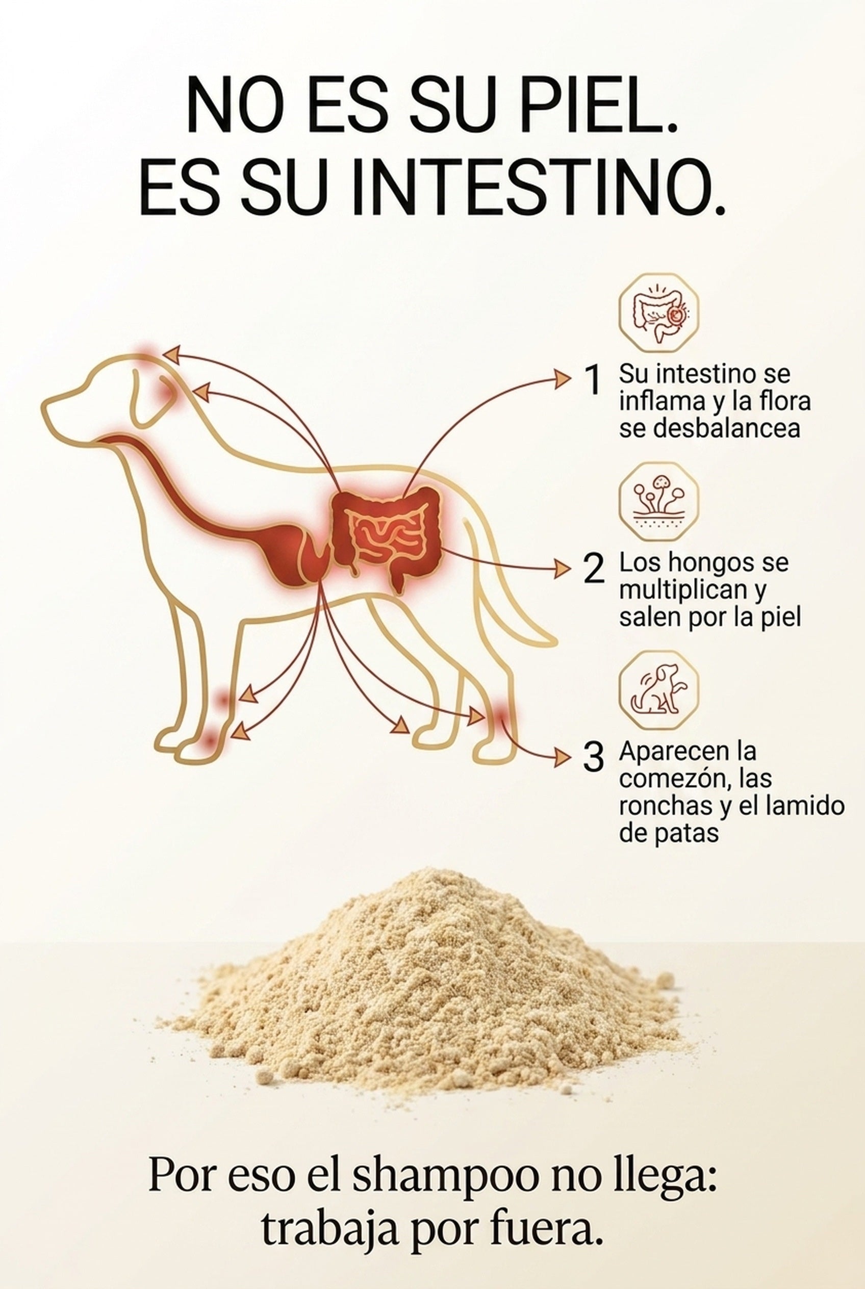 No es su piel, es su intestino: la inflamación sale por la piel