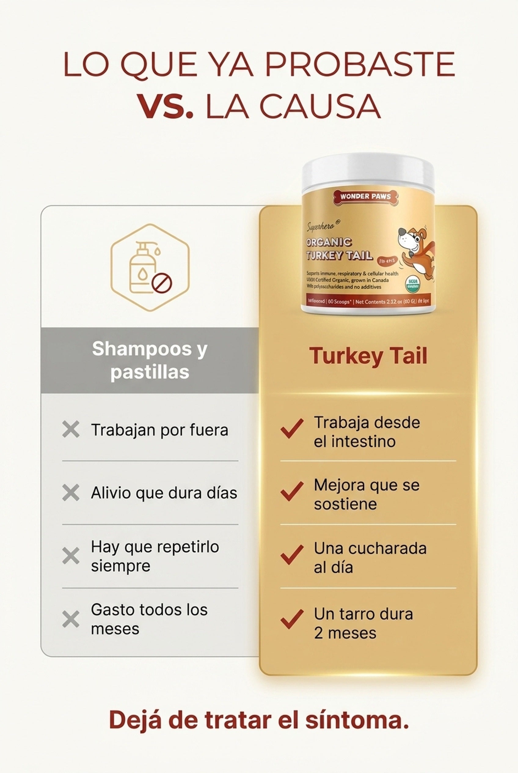 Turkey Tail vs shampoos y pastillas: trabaja desde el intestino