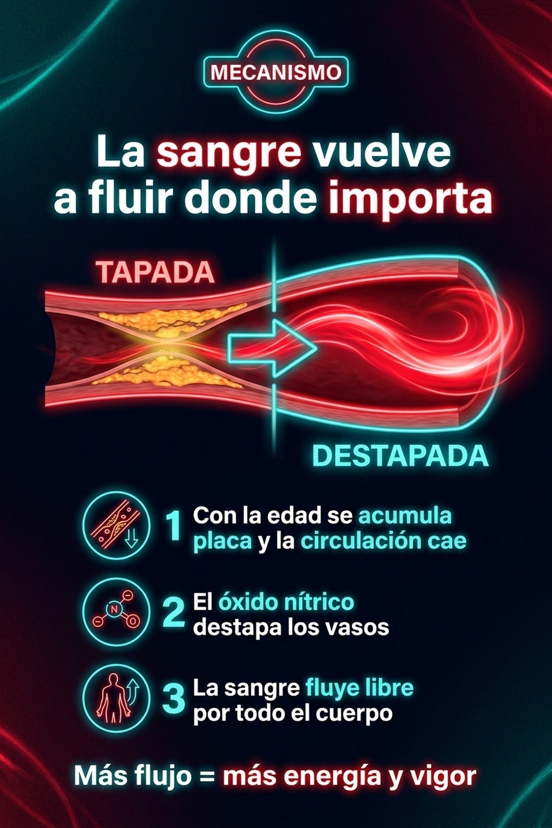 Cómo funciona: la sangre vuelve a fluir donde importa
