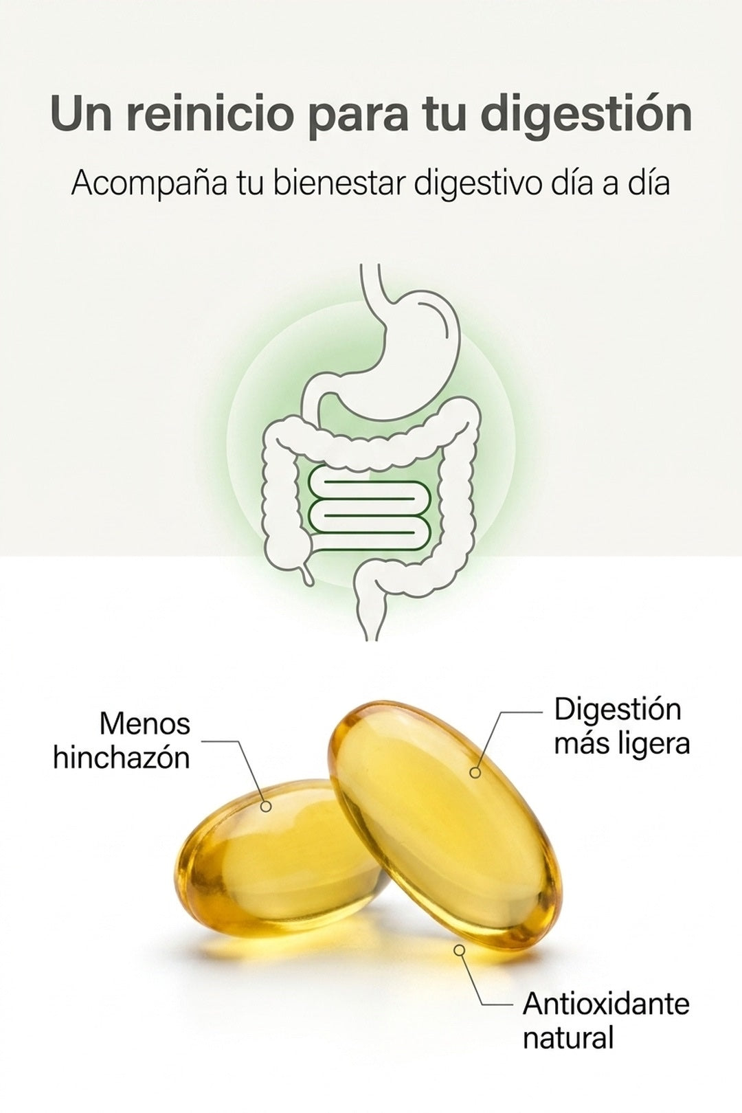 Un reinicio natural para tu digestión