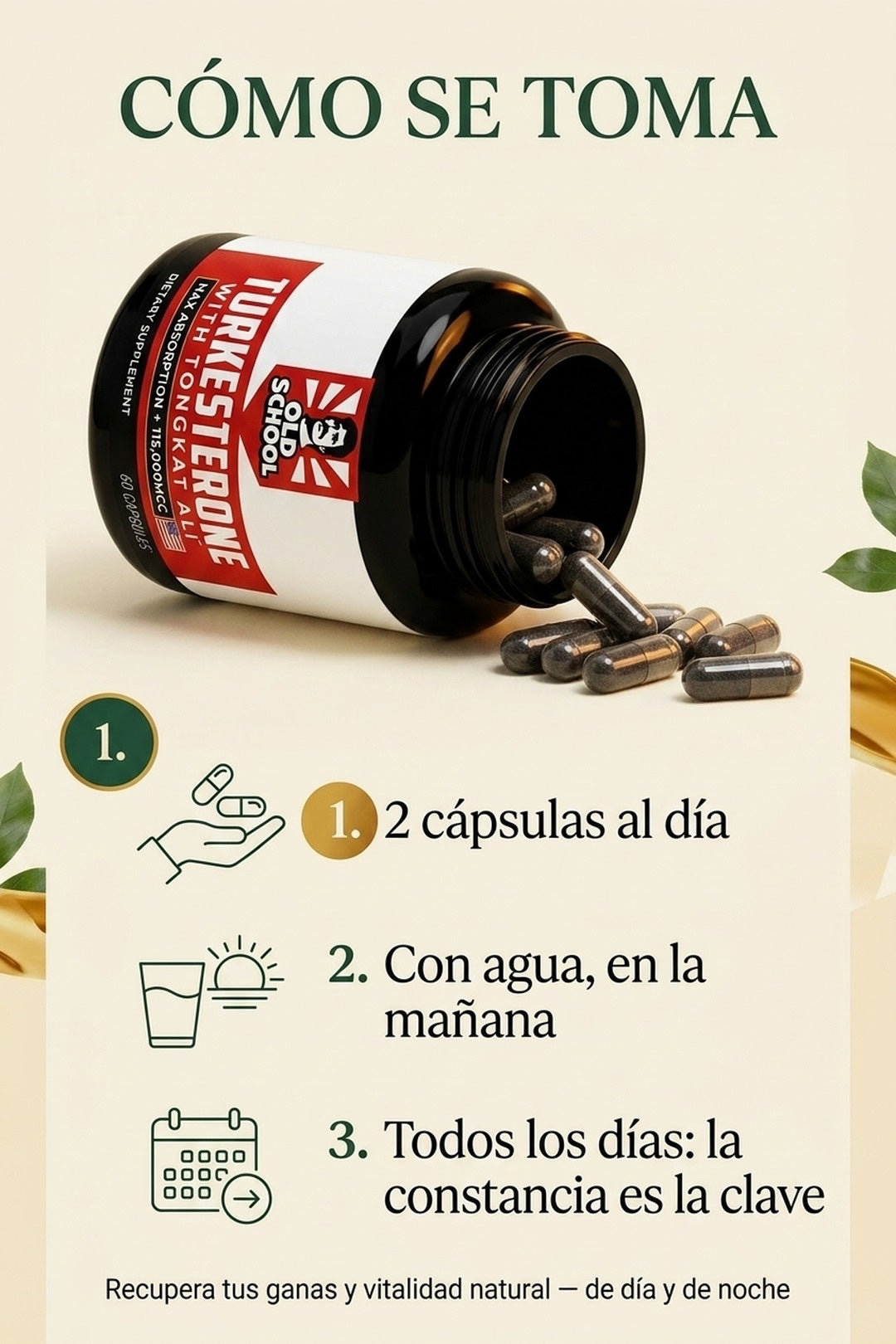 Cómo se toma: 2 cápsulas al día, todos los días